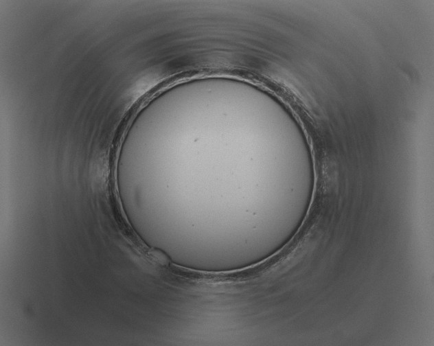 X0000116441065200912291923