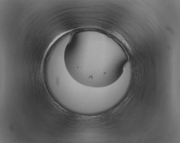 X0000116441068200912291923