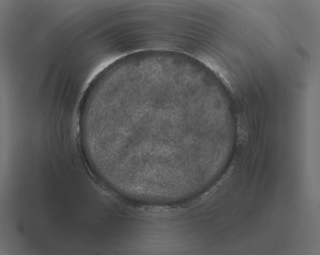 X0000116441070200912291923