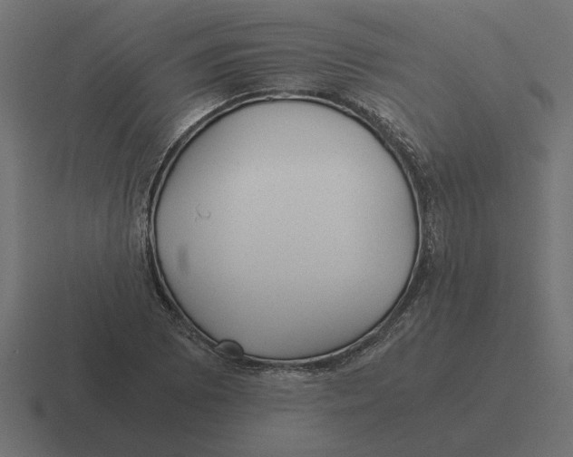 X0000116441073200912291923