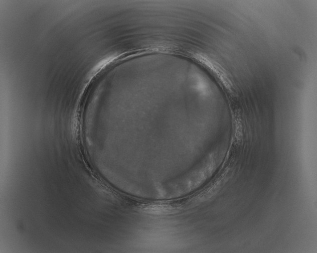 X0000116441074200912291923