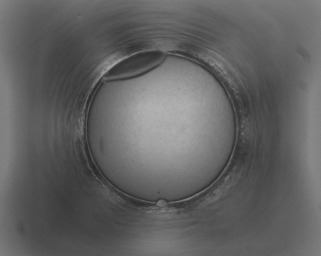 X0000116441081200912291923