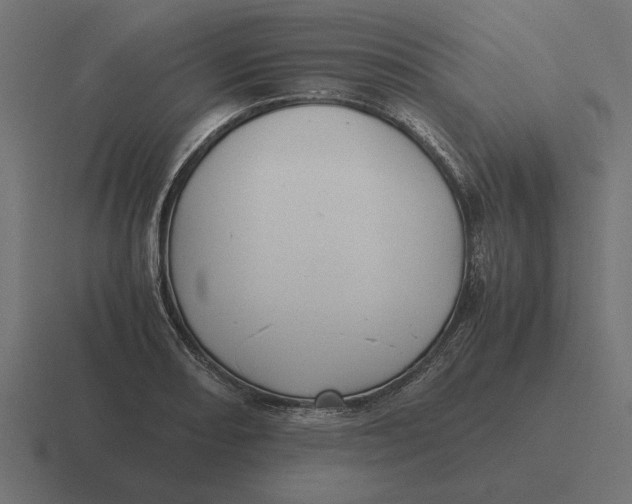X0000116441082200912291923
