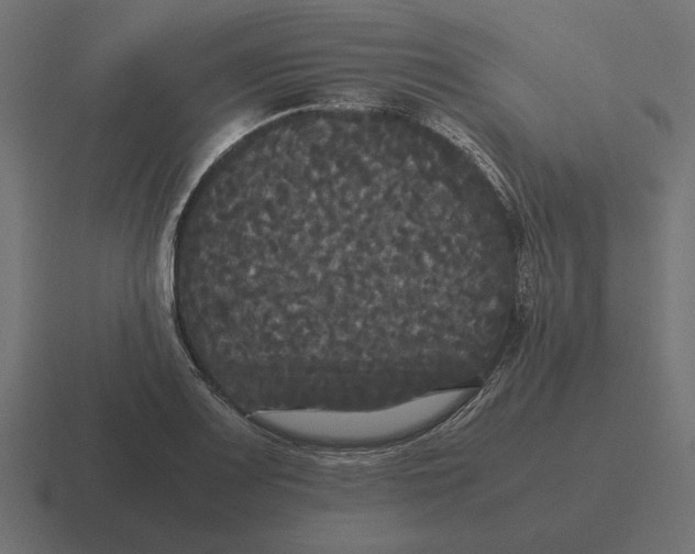 X0000116441083200912291923
