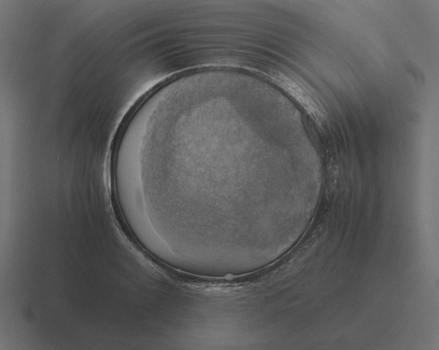 X0000116441084200912291923
