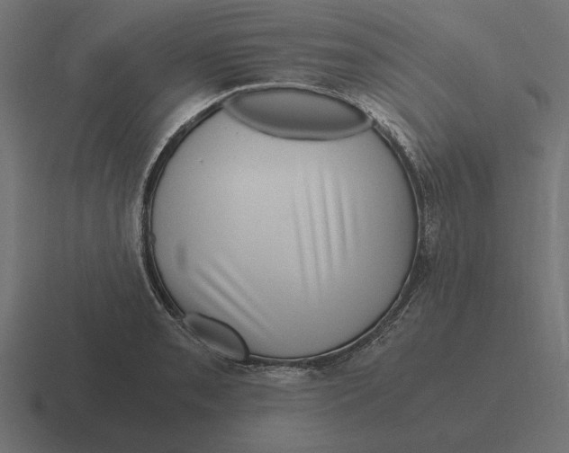 X0000116441085200912291923
