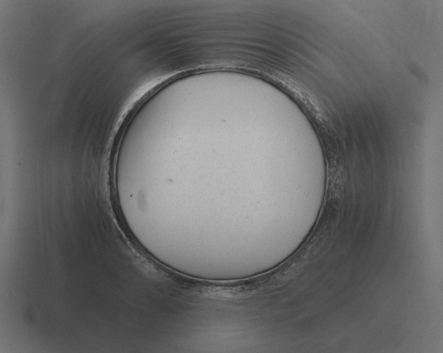 X0000116441086200912291923