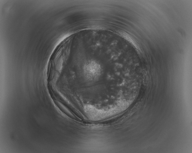 X0000116441087200912291923