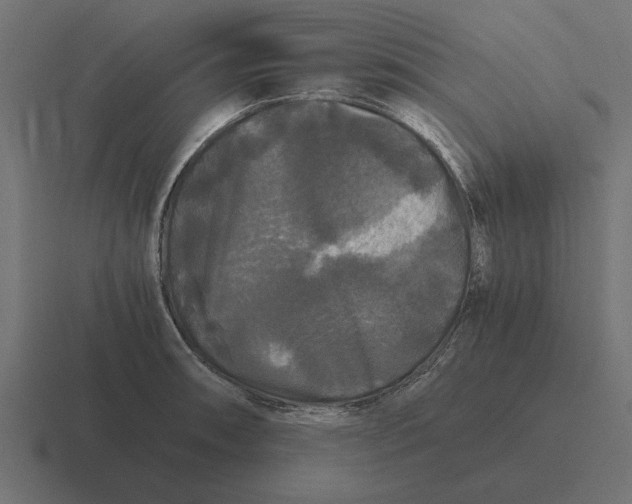 X0000116441090200912291923
