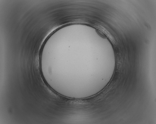 X0000116441092200912291923