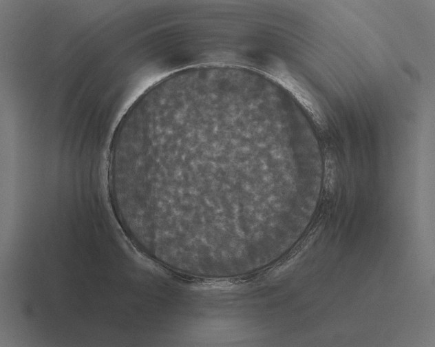 X0000116441094200912291923