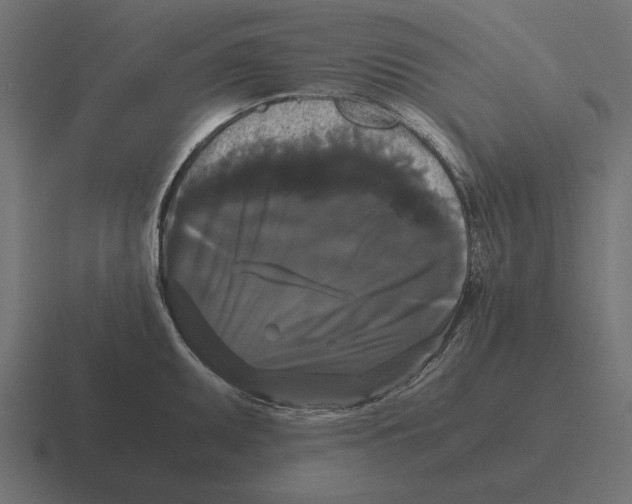 X0000116441095200912291923