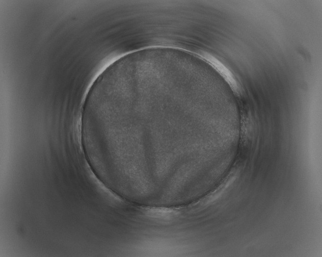X0000116441100200912291923