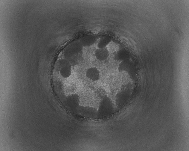 X0000116441105200912291922