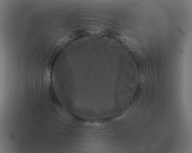 X0000116441106200912291922