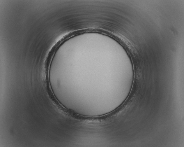 X0000116441118200912291922