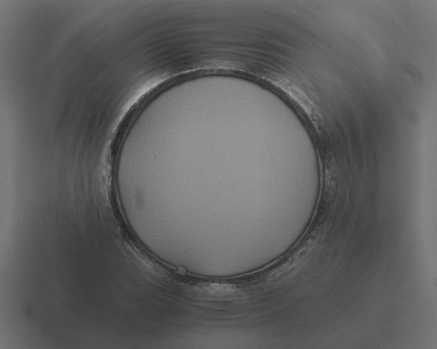 X0000116441119200912291922