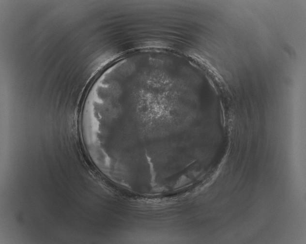 X0000116441121200912291923