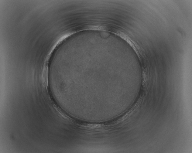 X0000116441123200912291923
