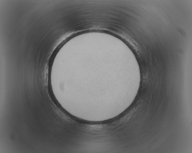 X0000116441126200912291923