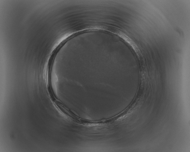 X0000116441127200912291923