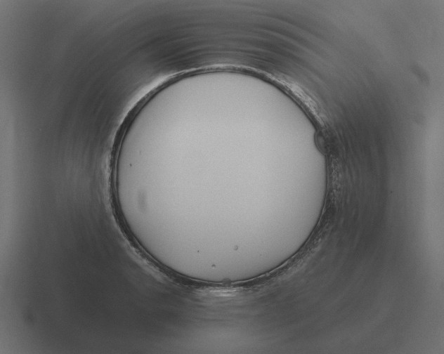 X0000116441134200912291923