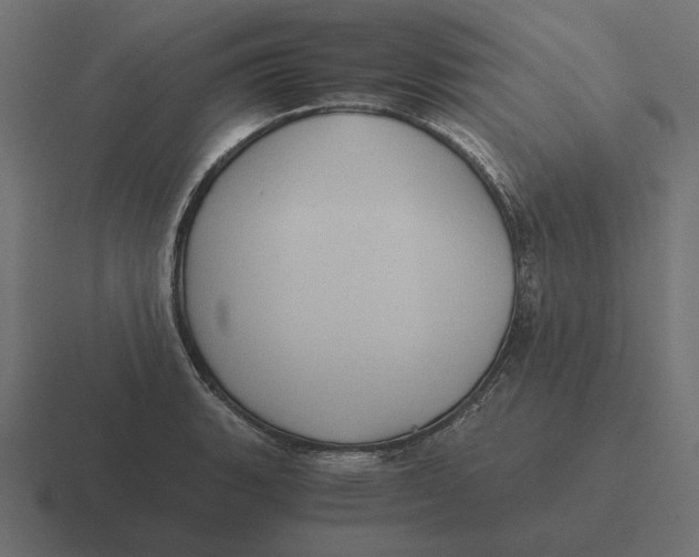 X0000116441135200912291923