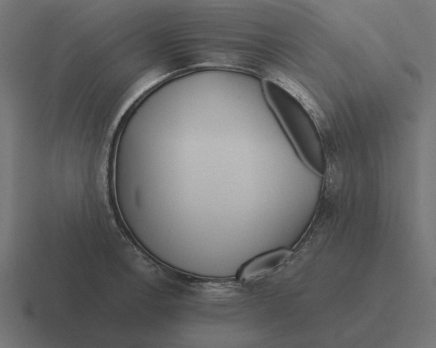 X0000116441138200912291923