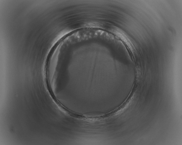 X0000116441141200912291923