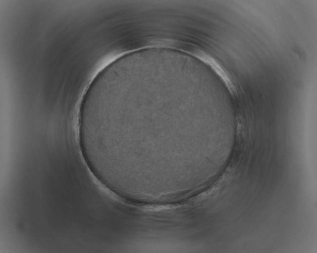 X0000116441143200912291923