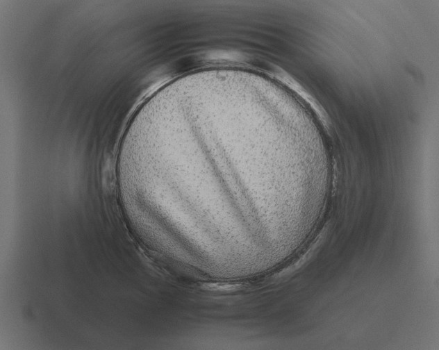 X0000116441145200912291923