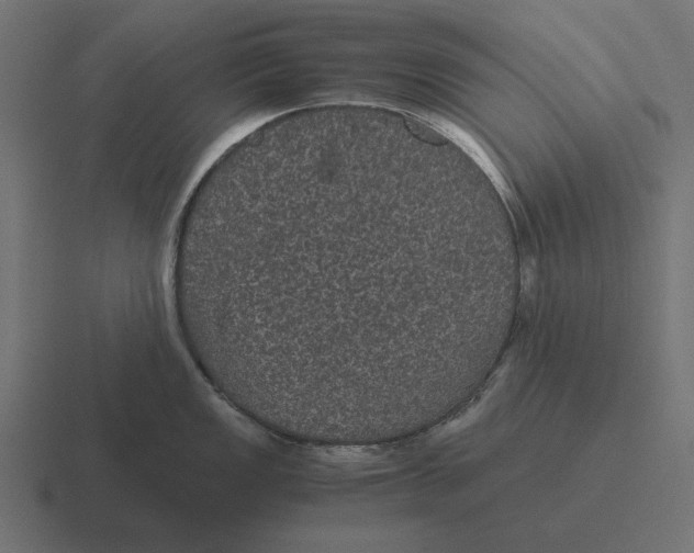 X0000116441149200912291923