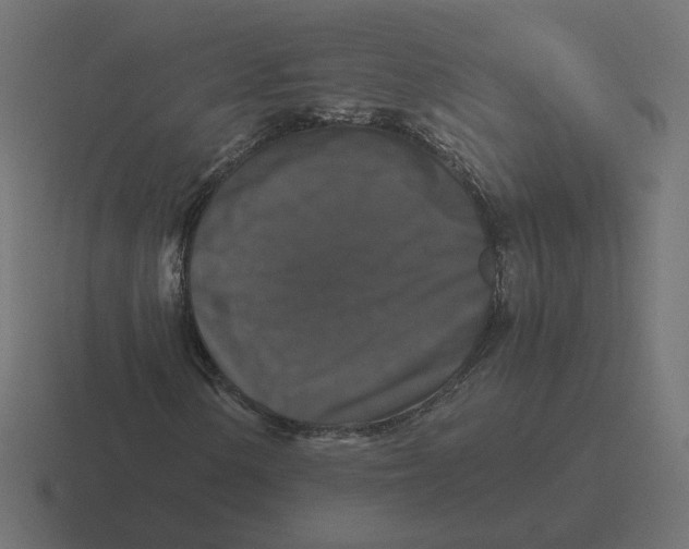 X0000116441154200912291922