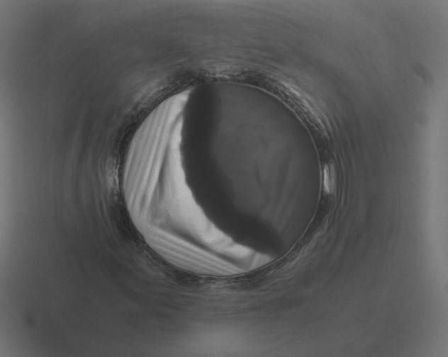 X0000116441155200912291922