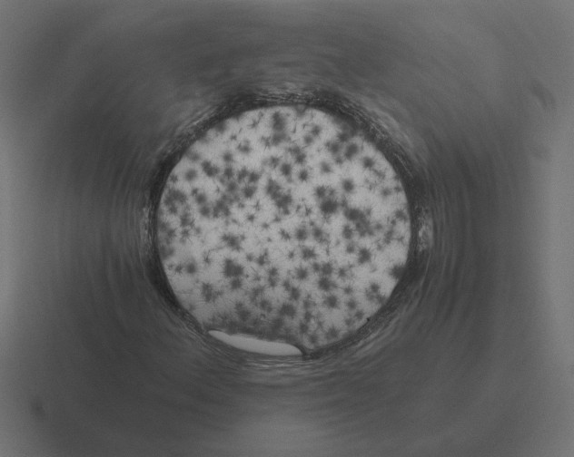 X0000116441156200912291922