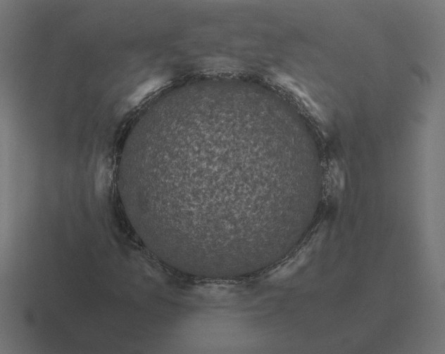 X0000116441157200912291922