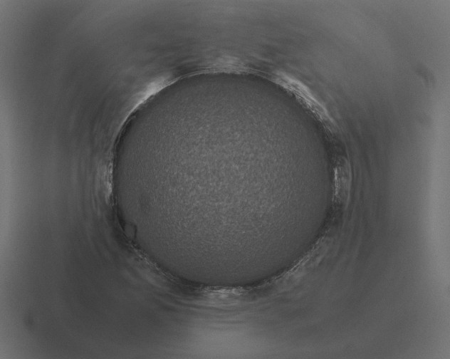 X0000116441165200912291922