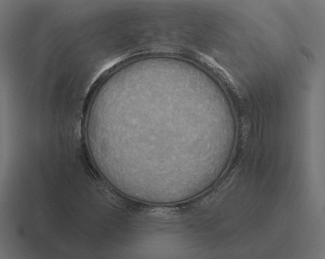 X0000116441166200912291922