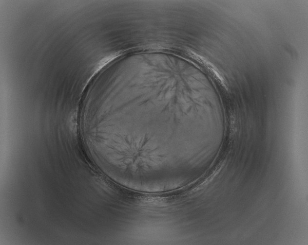 X0000116441170200912291922
