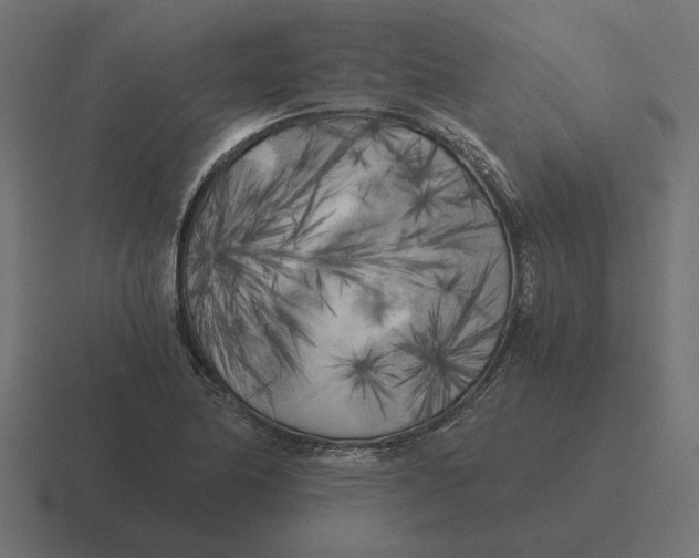 X0000116441174200912291922