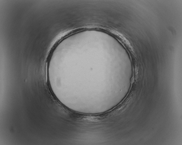 X0000116441175200912291922