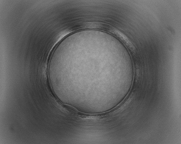 X0000116441178200912291922