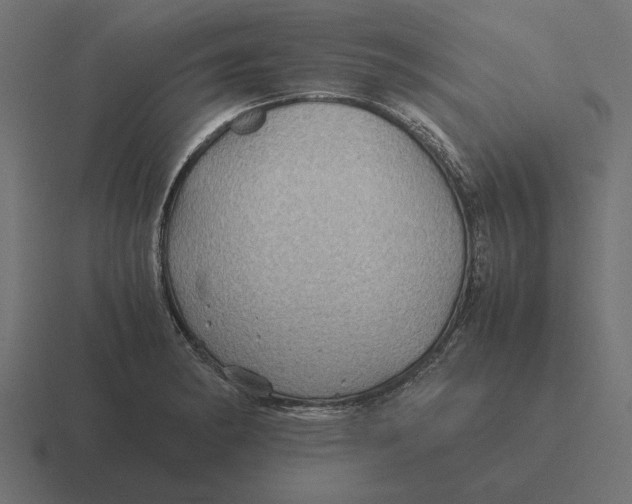 X0000116441182200912291922