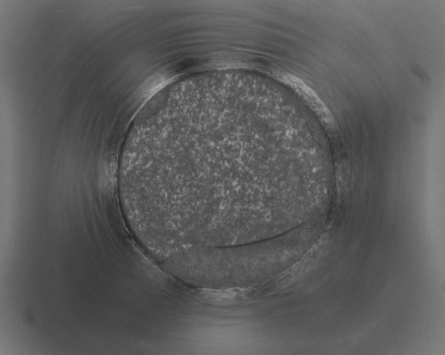 X0000116441185200912291922