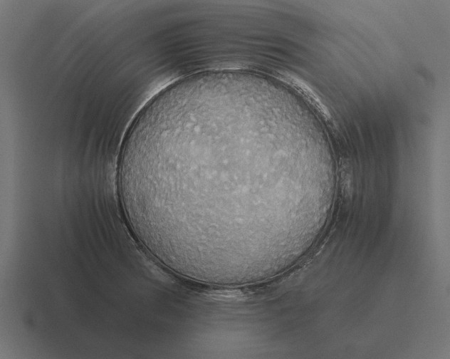 X0000116441186200912291922