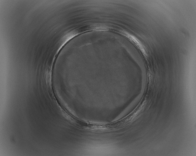 X0000116441194200912291922
