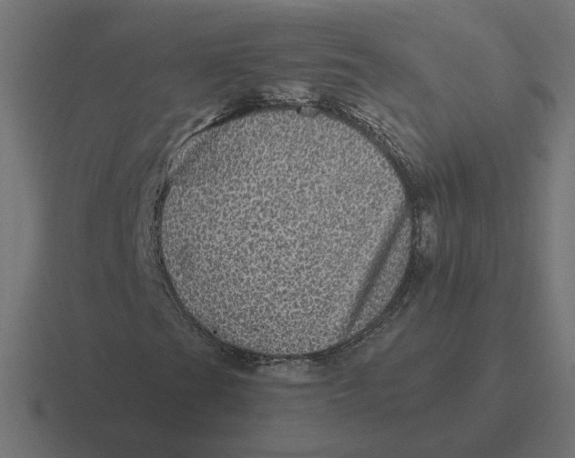 X0000116441201200912291921