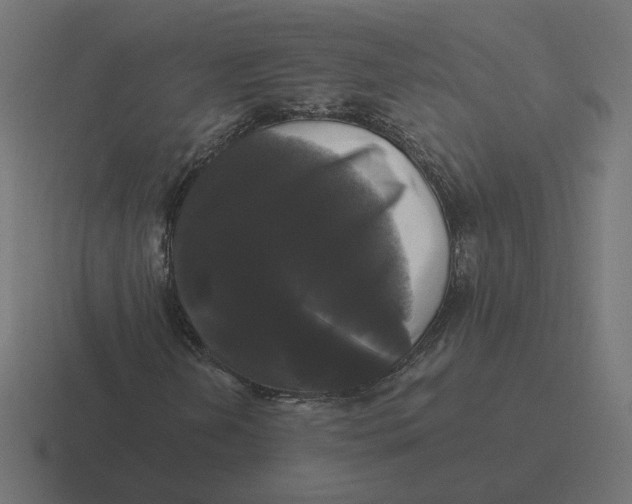X0000116441202200912291921