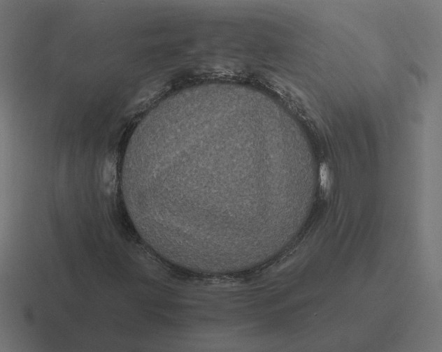 X0000116441203200912291921