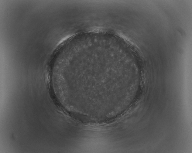 X0000116441206200912291921